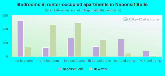 Bedrooms in renter-occupied apartments in Neponsit  Belle