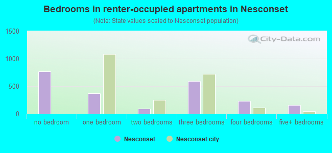 Bedrooms in renter-occupied apartments in Nesconset