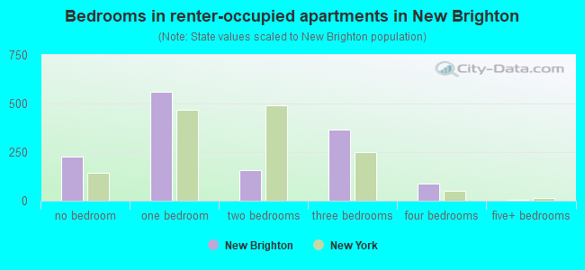Bedrooms in renter-occupied apartments in New Brighton