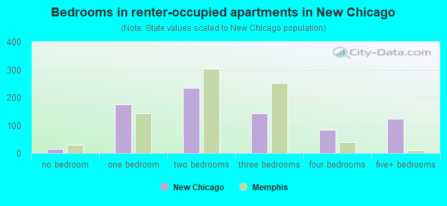 Bedrooms in renter-occupied apartments in New Chicago