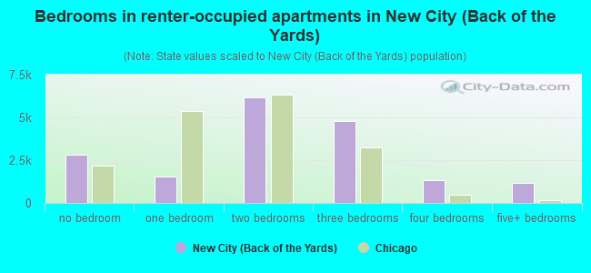 Bedrooms in renter-occupied apartments in New City (Back of the Yards)