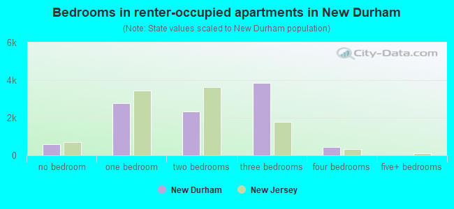 Bedrooms in renter-occupied apartments in New Durham