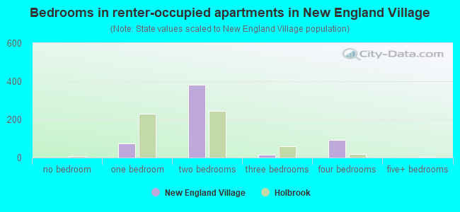 Bedrooms in renter-occupied apartments in New England Village