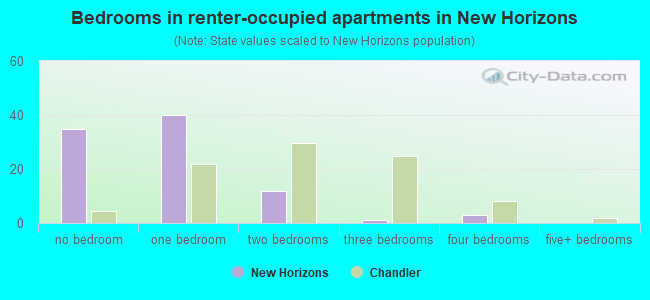 Bedrooms in renter-occupied apartments in New Horizons