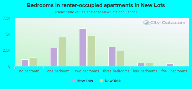 Bedrooms in renter-occupied apartments in New Lots