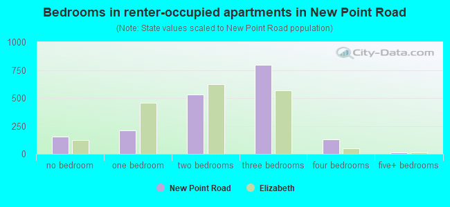 Bedrooms in renter-occupied apartments in New Point Road