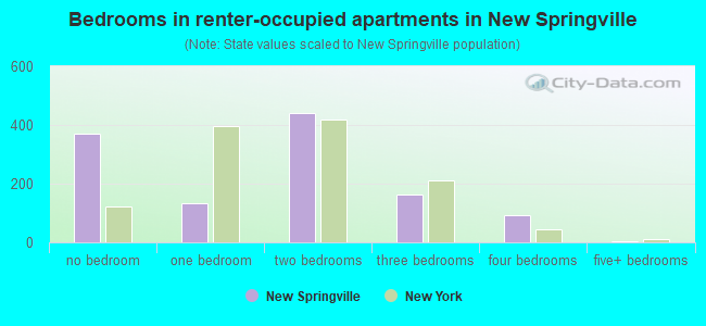 Bedrooms in renter-occupied apartments in New Springville