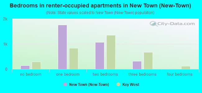 Bedrooms in renter-occupied apartments in New Town (New-Town)