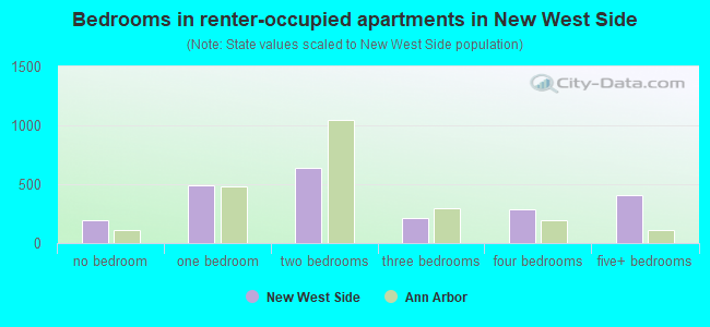 Bedrooms in renter-occupied apartments in New West Side