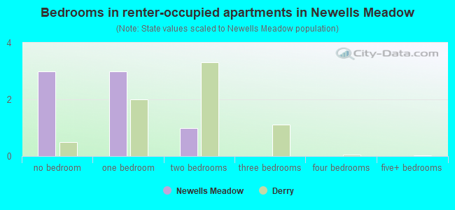 Bedrooms in renter-occupied apartments in Newells Meadow
