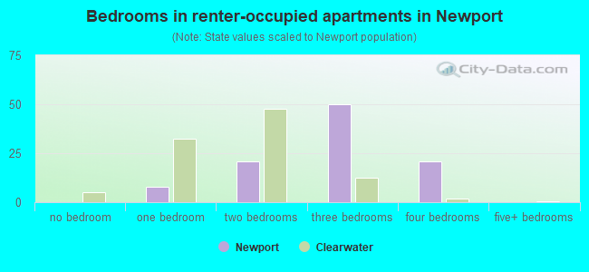 Bedrooms in renter-occupied apartments in Newport