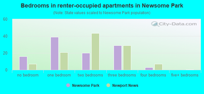 Bedrooms in renter-occupied apartments in Newsome Park