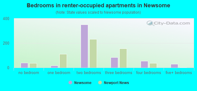 Bedrooms in renter-occupied apartments in Newsome