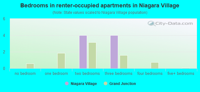 Bedrooms in renter-occupied apartments in Niagara Village