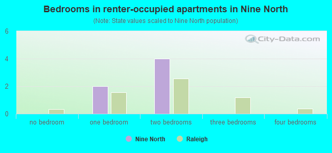 Bedrooms in renter-occupied apartments in Nine North