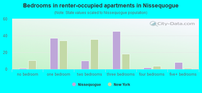Bedrooms in renter-occupied apartments in Nissequogue