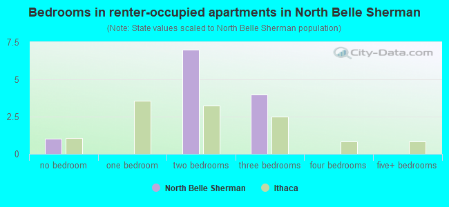 Bedrooms in renter-occupied apartments in North Belle Sherman