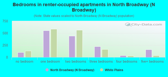 Bedrooms in renter-occupied apartments in North Broadway (N Broadway)
