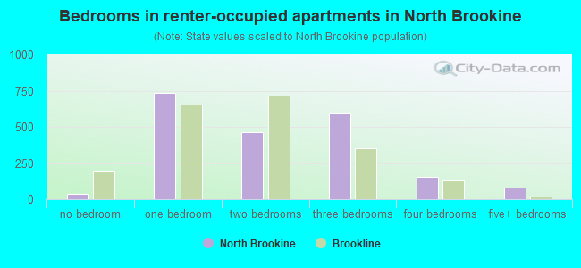 Bedrooms in renter-occupied apartments in North Brookine