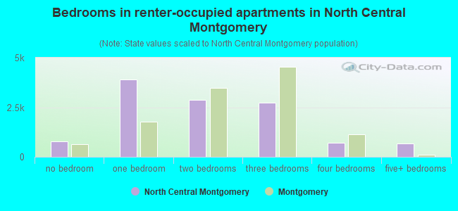 Bedrooms in renter-occupied apartments in North Central Montgomery