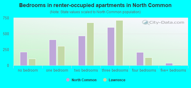 Bedrooms in renter-occupied apartments in North Common
