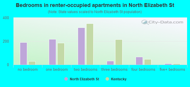 Bedrooms in renter-occupied apartments in North Elizabeth St