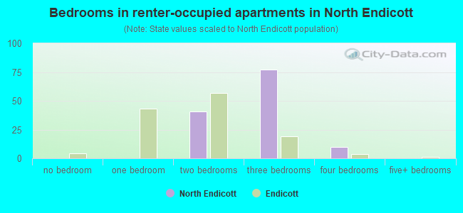 Bedrooms in renter-occupied apartments in North Endicott
