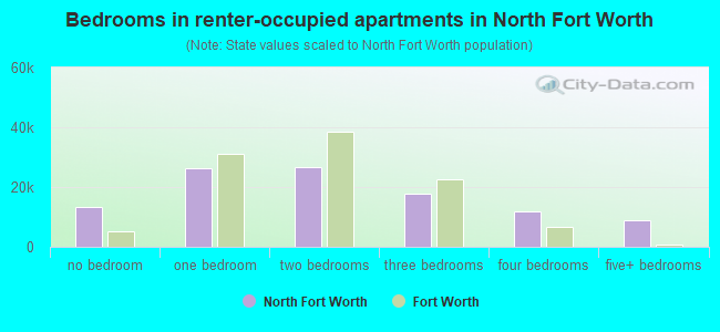 Bedrooms in renter-occupied apartments in North Fort Worth