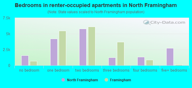 Bedrooms in renter-occupied apartments in North Framingham