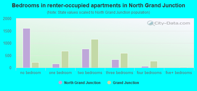Bedrooms in renter-occupied apartments in North Grand Junction