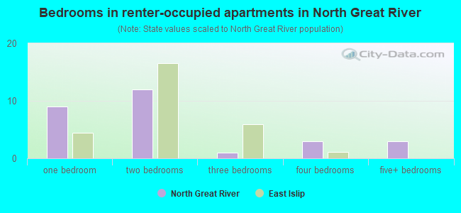 Bedrooms in renter-occupied apartments in North Great River