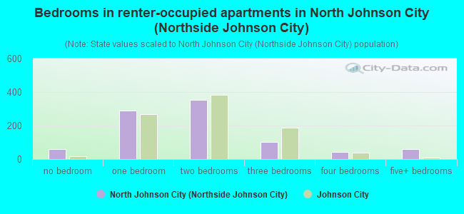 Bedrooms in renter-occupied apartments in North Johnson City (Northside Johnson City)