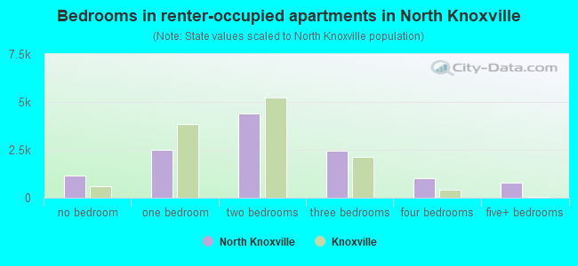 Bedrooms in renter-occupied apartments in North Knoxville