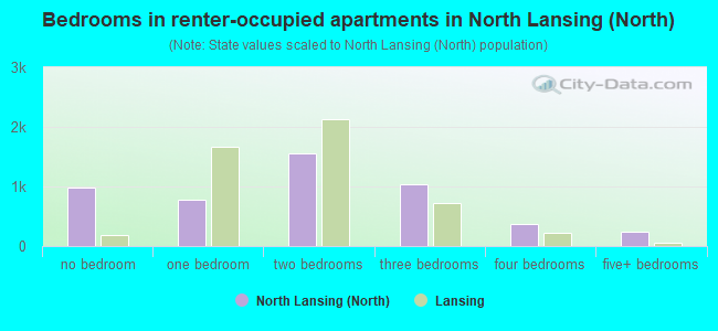 Bedrooms in renter-occupied apartments in North Lansing (North)
