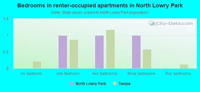 Bedrooms in renter-occupied apartments in North Lowry Park