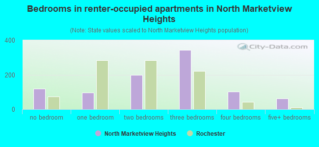 Bedrooms in renter-occupied apartments in North Marketview Heights