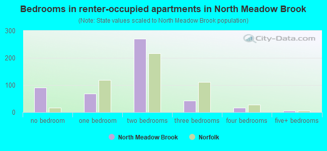Bedrooms in renter-occupied apartments in North Meadow Brook