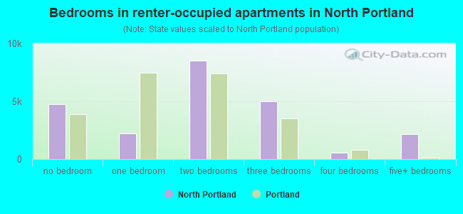 Bedrooms in renter-occupied apartments in North Portland