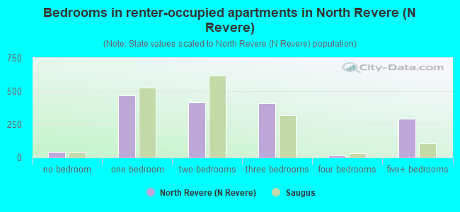 Bedrooms in renter-occupied apartments in North Revere (N Revere)