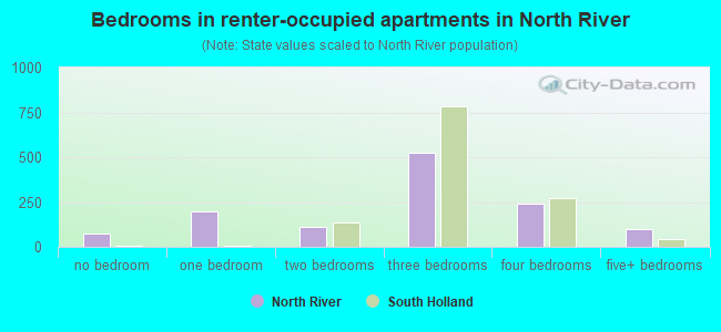 Bedrooms in renter-occupied apartments in North River