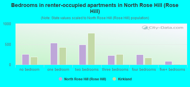 Bedrooms in renter-occupied apartments in North Rose Hill (Rose Hill)