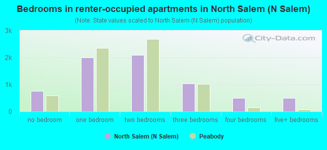 Bedrooms in renter-occupied apartments in North Salem (N Salem)