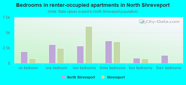 Bedrooms in renter-occupied apartments in North Shreveport