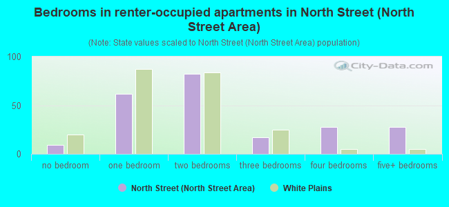 Bedrooms in renter-occupied apartments in North Street (North Street Area)