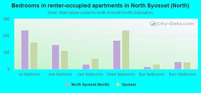 Bedrooms in renter-occupied apartments in North Syosset (North)