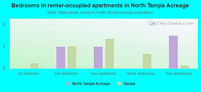 Bedrooms in renter-occupied apartments in North Tampa Acreage