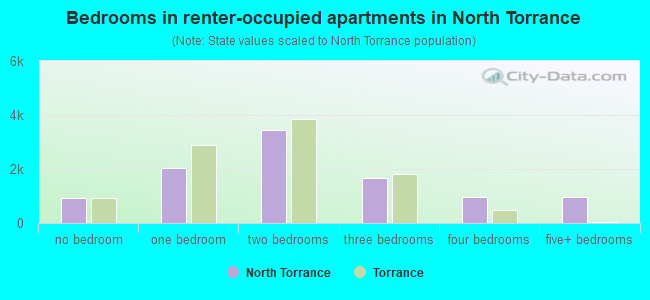 Bedrooms in renter-occupied apartments in North Torrance