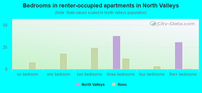 Bedrooms in renter-occupied apartments in North Valleys