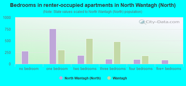 Bedrooms in renter-occupied apartments in North Wantagh (North)