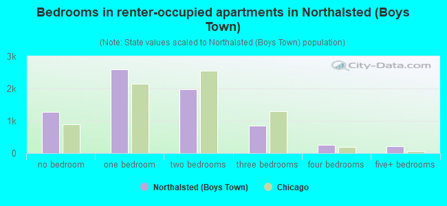 Bedrooms in renter-occupied apartments in Northalsted (Boys Town)